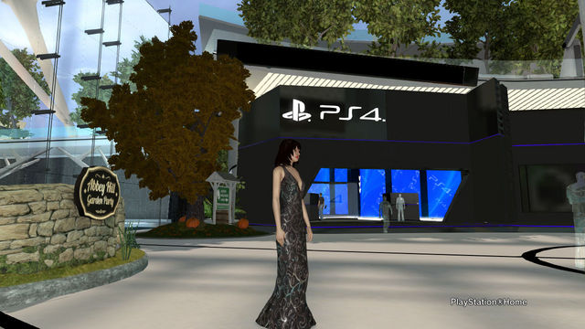 PlayStation(R)Home Picture 2013-11-21 02-29-27.jpg